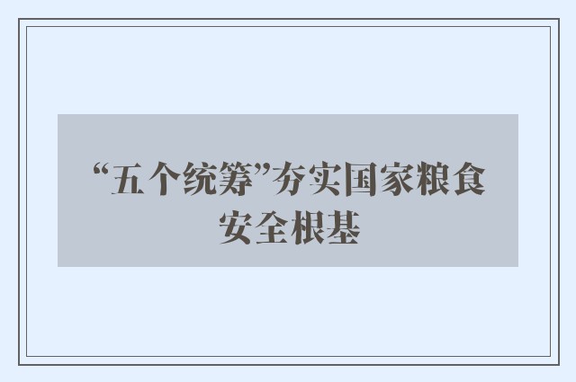 “五个统筹”夯实国家粮食安全根基