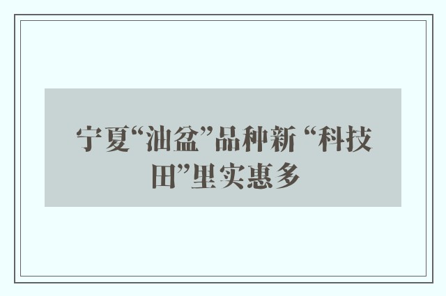 宁夏“油盆”品种新 “科技田”里实惠多