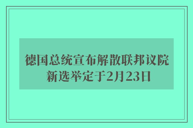 德国总统宣布解散联邦议院 新选举定于2月23日