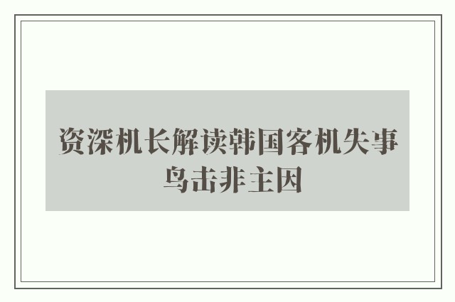 资深机长解读韩国客机失事 鸟击非主因