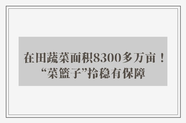 在田蔬菜面积8300多万亩！“菜篮子”拎稳有保障